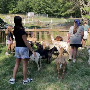 Goat Snuggles!!!!
